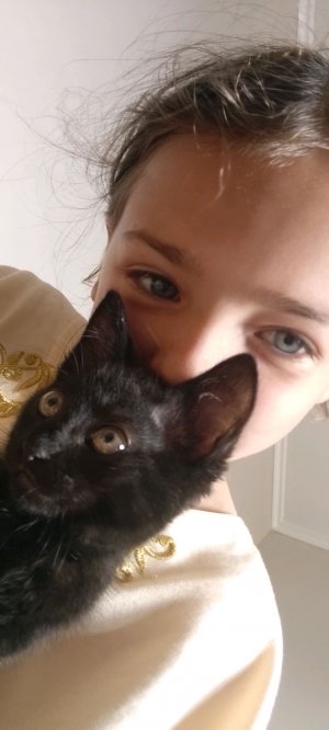 🐈