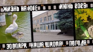 Жизнь на юге, зоопарк, наша школа, погода.