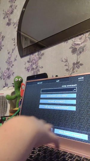 маин