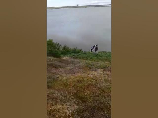 Водопровод от озера до станции 400м, самодельный! смотреть онлайн