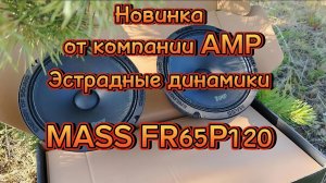 Акустика эстрадная AMP MASS FR65P120
