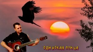 Одинокая птица