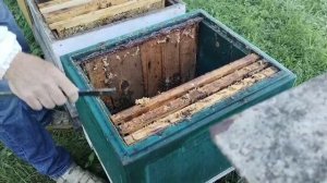 28 июня УНИЧТОЖИТЬ МАТОЧНИКИ