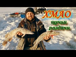 ОСТАВИЛИ ЖЕРЛИЦЫ НА НОЧЬ... Рыбалка на Севере в ХМАО.