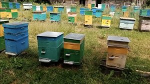 Работа на пасеке