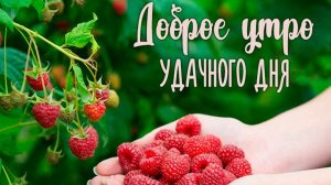 ЯГОДА-малина нас к себе манила!