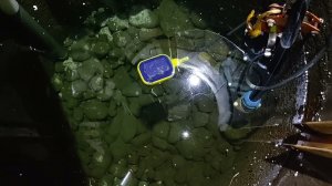 Как сделать воду чистой в колодце.
