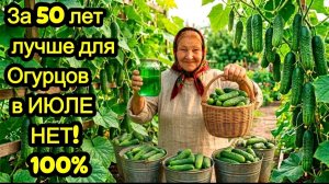 3 Капли и Огурцов нарастает Тонна в Июле! Даже чахлые огурцы позеленеют и заплодоносят