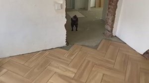 Жизнь вне орхидей. дом на Юге это не про РАБОТУ а про ЖИЗНЬ а она у всех разная ⧸⧸ занялся ПОЛОВЫМ в