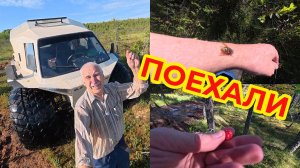 Поехали на Вездеходе. Морошку попробуем