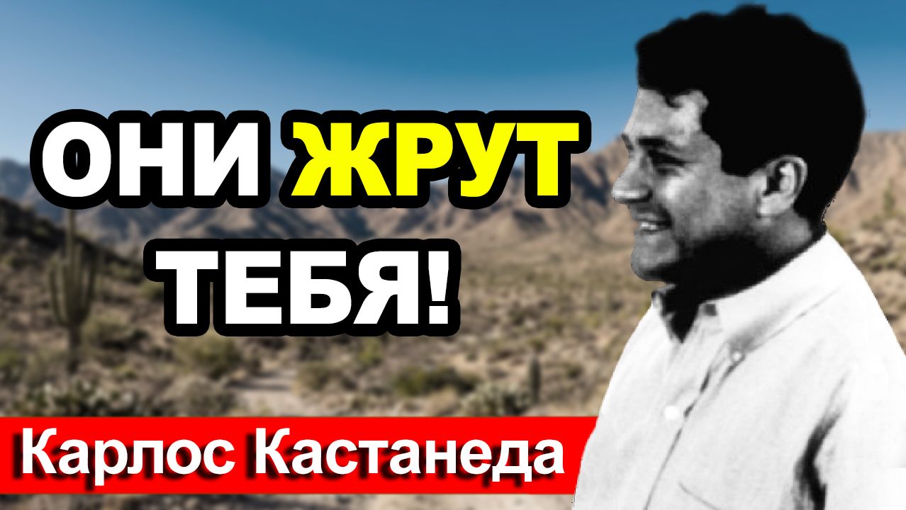 Почему ты всегда уставший? Скрытая угроза гаджетов | Летуны Кастанеды смотреть онлайн