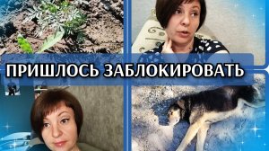 28-06-2026 Я в отпуске!👍Цветут цветы🌹Заблокировала злого подписчика😡Муж и сын приехали❤️
