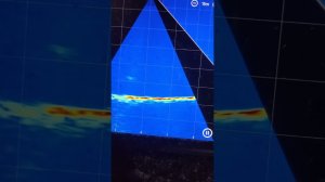 Panoptix нервно закурил...  Сонар нового поколения Accuphy Ping Live Mini. Эхолот для зимней рыбалки