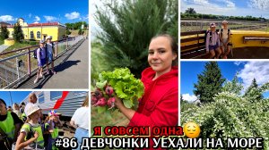 #86 девчонки уехали на море / я осталась совсем одна / расцвел жасмин