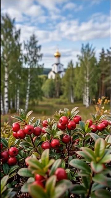 Рыбка золотая