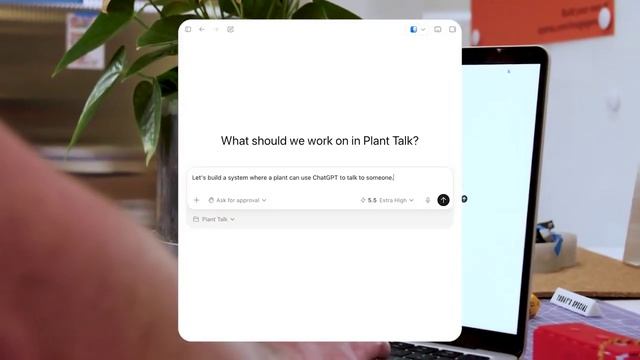 Растениям выдали голос ChatGPT. OpenAI выложила PlantTalk — проект, где комнатное растение можно смотреть онлайн
