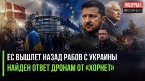 Украинцев выгоняют из Европы || Россия смогла обезвредить «Хорнеты»