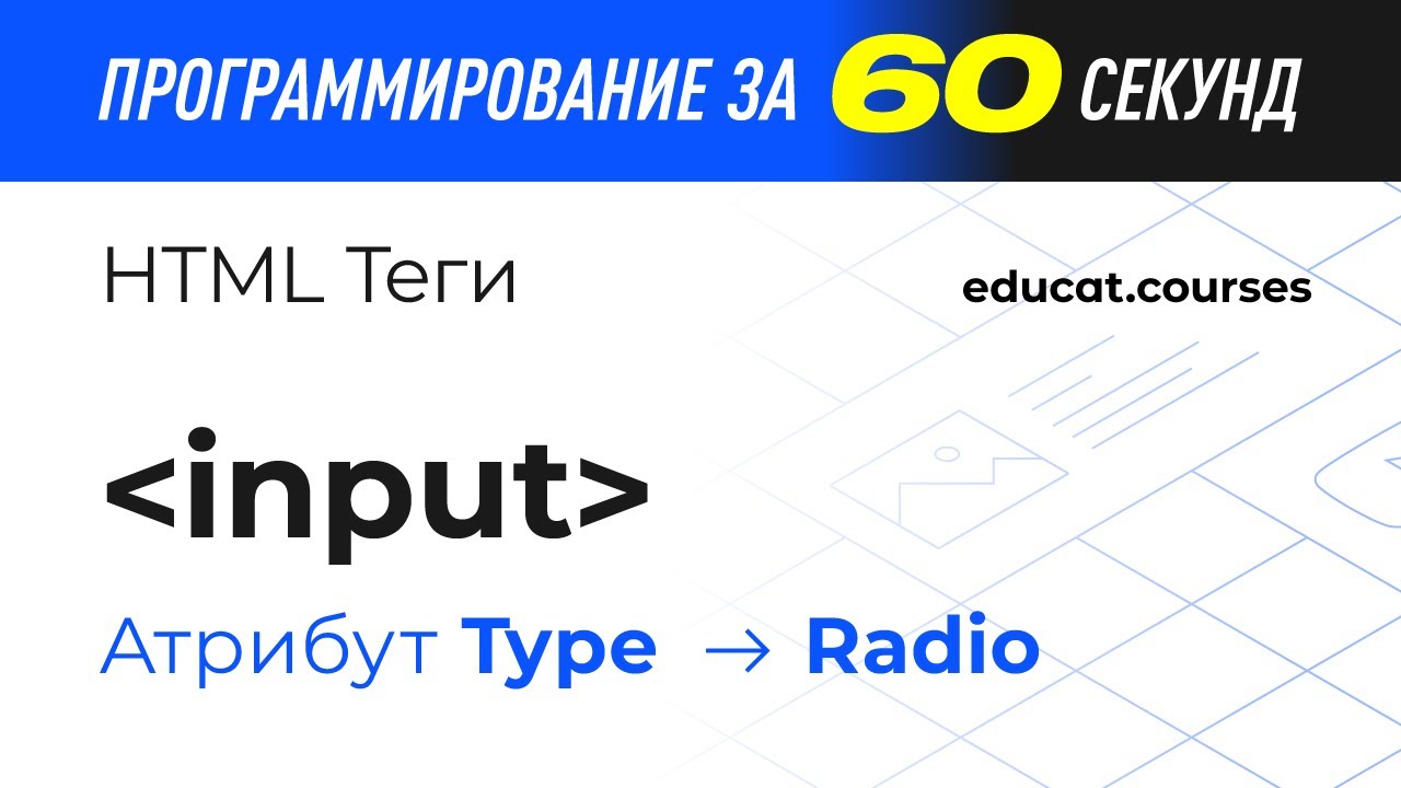 HTML уроки. Тег Input, атрибут type, значение radio смотреть онлайн