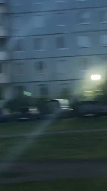 Лось в Новом Девяткино