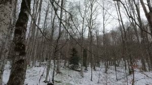 ОХОТА НА МЕДВЕДЯ В КЧР