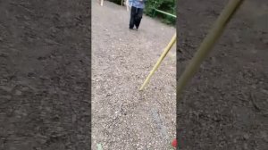 стрим на юбилей 10 подписчиков