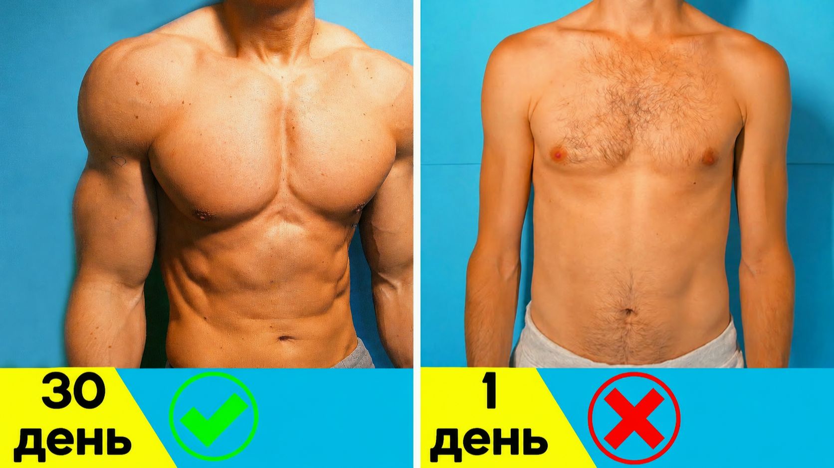 Отжимания Каждый День (РЕЗУЛЬТАТЫ за 30 дней) Домашняя тренировка | Как накачать Руки