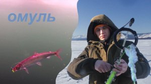 Рыбалка на ОМУЛЯ  и НАЛИМА Байкал /дорабатываем катушку на омуля /готовим омуля /бинокль АРТЭЛВ