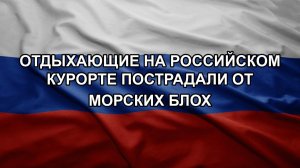 Отдыхающие на российском курорте пострадали от морских блох