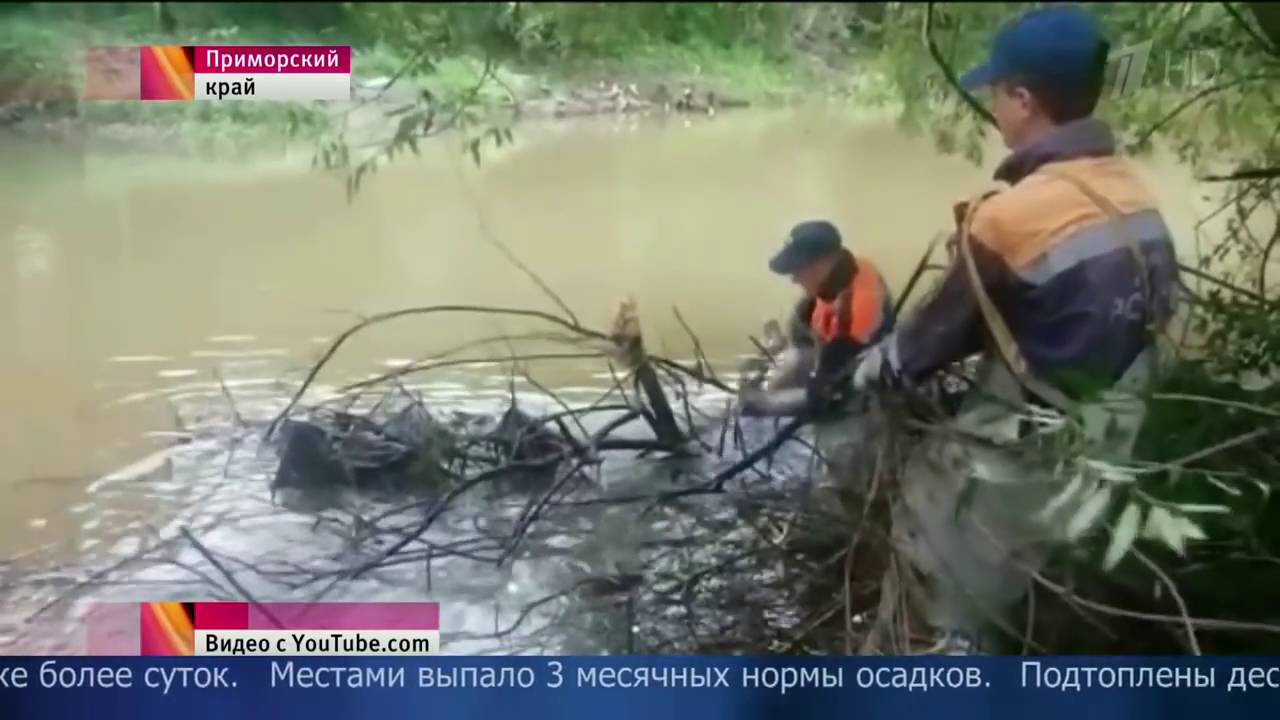 В Приморье циклон нарушил электроснабжение нескольких населенных пунктов смотреть онлайн