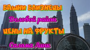 Куала Лумпур башни близнецы