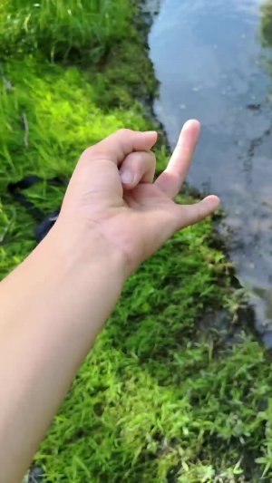 оплалвво