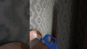 1000137999.mp4