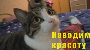НАВОДИМ КРАСОТУ / 20 и 21 июня 2026