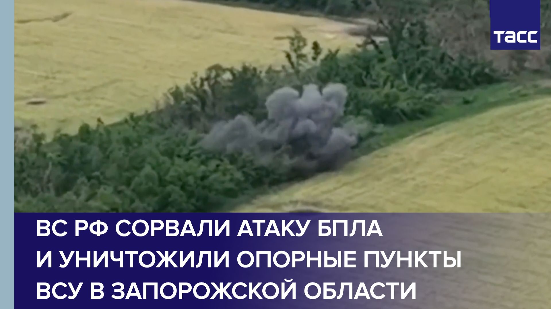 ВС РФ сорвали атаку БПЛА и уничтожили опорные пункты ВСУ в Запорожской области смотреть онлайн