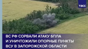 ВС РФ сорвали атаку БПЛА и уничтожили опорные пункты ВСУ в Запорожской области