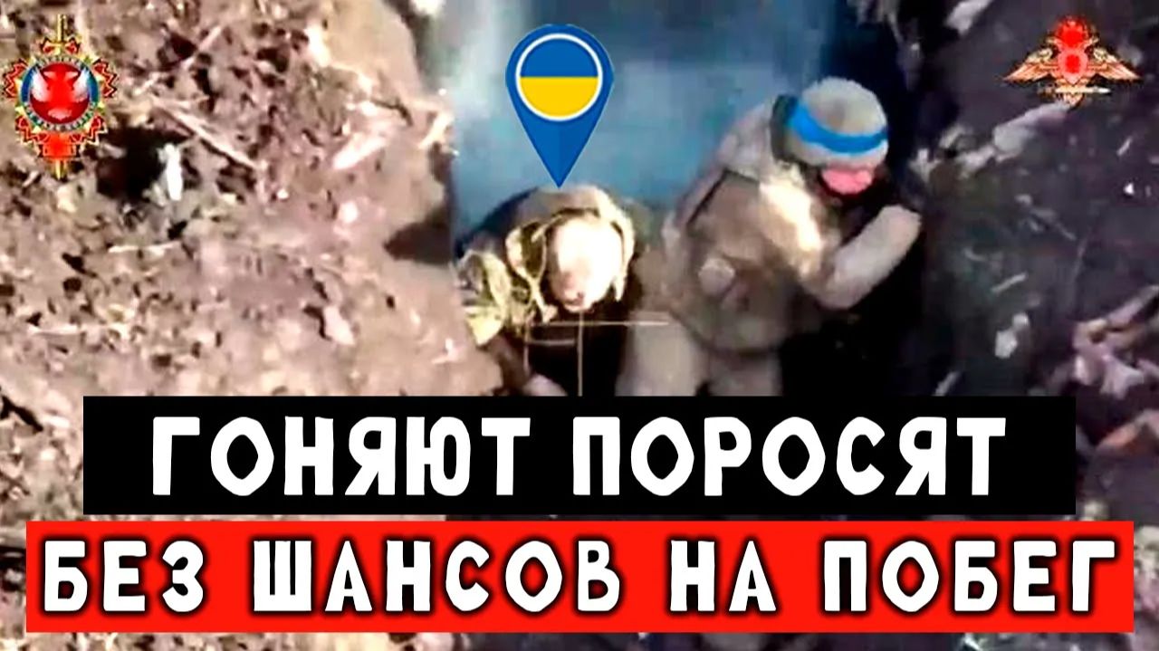 Гениальный штурм. Наёмники бегают от российских бойцов. смотреть онлайн
