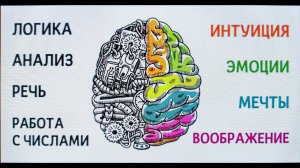 Аудиофилы и скептики почему мы по разному слышим