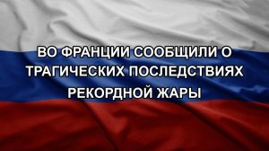 Во Франции сообщили о трагических последствиях рекордной жары