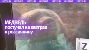 «Миша, утро! Печеньку будешь?»: косолапый заглянул на «завтрак» к россиянину