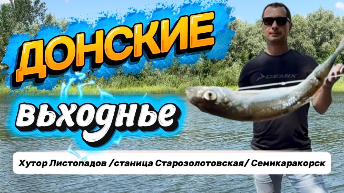 Донские выходные ⭐️ «Золотое кольцо» Дона 🔥 #олени 🦌 #лавандовые поля 💜 #рыбалка 🎣 смотреть онлайн