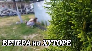 Коротаем ВЕЧЕРА на ХУТОРЕ в сосновом бору! Подписчики посоветовали - мы выполнили! Рушим дом изнутри
