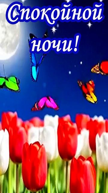 Спокойной ночи. Музыкальная открытка.