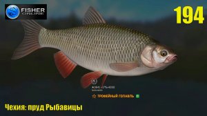 #194 Чехия: пруд Рыбавицы ч.11 Путь к серебру: голавль. Где и на что? Прохождение Fisher Online
