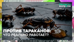 Как вывести тараканов в многоэтажке? | Миллион вопросов — Москва 24 | Контент