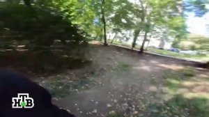 Санёк микс бородач на нтв