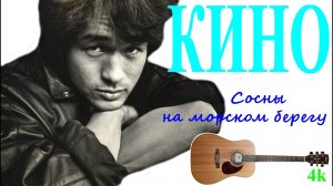 «Я устал от чужих городов»: Цой и его прибалтийская исповедь