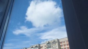 Красота за окном