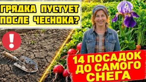 Забыли посевы ИЮЛЯ 14 культур дадут урожай до самого снега!