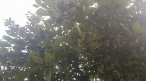 Погнали наши городских🙂.