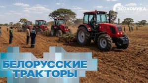 Миллионы поставок в 125 стран: почему весь мир массово скупает белорусские тракторы? Феномен МТЗ